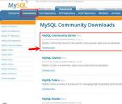 Установка MySQL Установка mysql на windows server